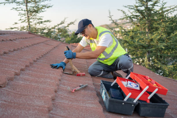 Best Sealant for Roof  in Gibson City, IL