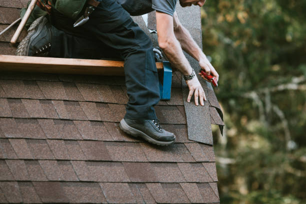 Best Roof Gutter Cleaning  in Gibson City, IL